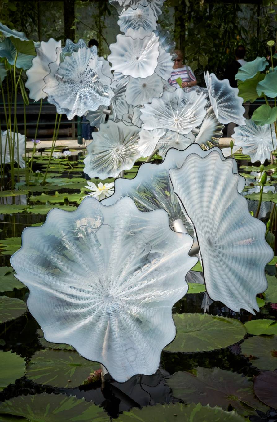 在美國、日本、法國都超火的玻璃花園搬來新加坡啦