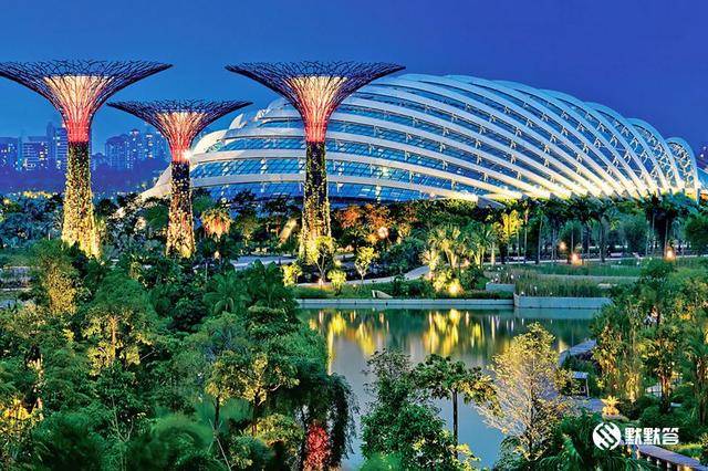新加坡必游景点，一定不能错过滨海湾花园“Gardens By The Bay”