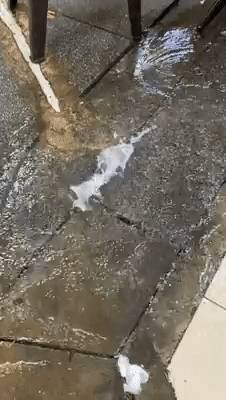 下大雨、刮强风，新加坡只有20度，创6年最低