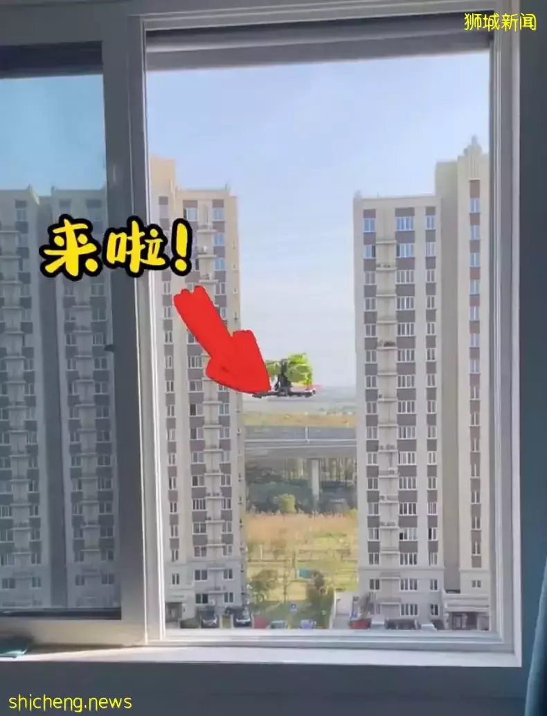 李显龙总理发声,挺中国防疫!上海的新加坡人晒冰箱,这些岛上阿姨曾囤出一个超市