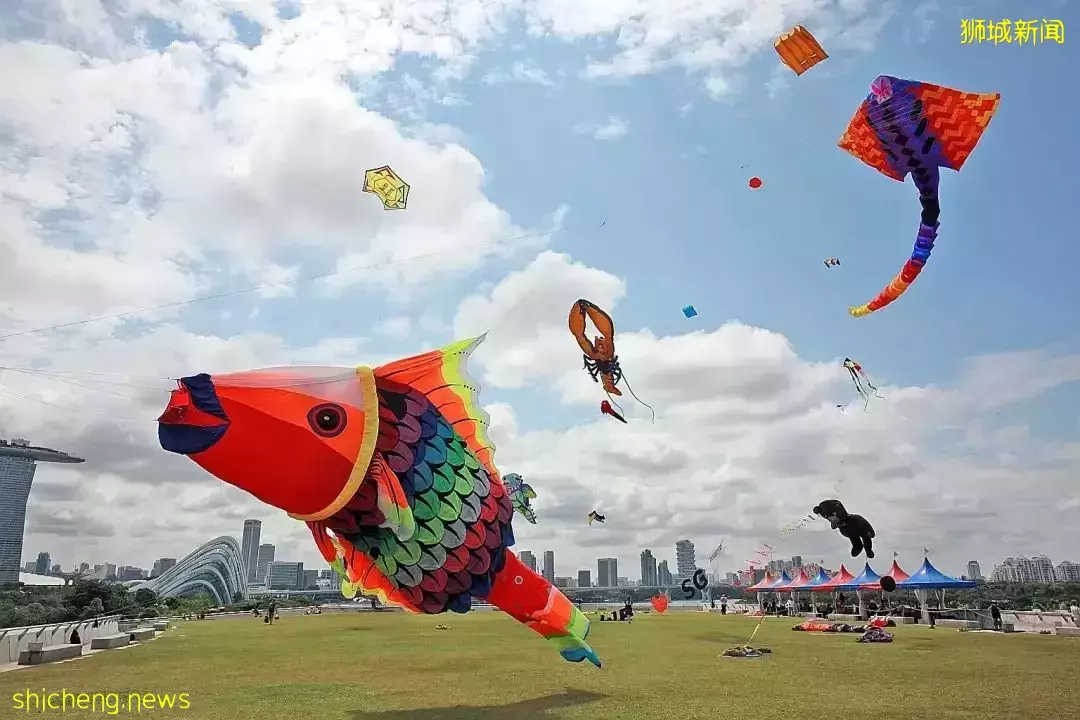 新加坡随处放风筝可能被罚款!6个合法放风筝地点收好不谢