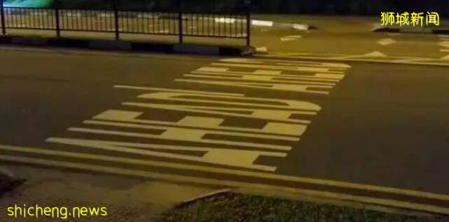 鬼畜!新加坡罚款“惊”的鸡过马路都得看绿灯