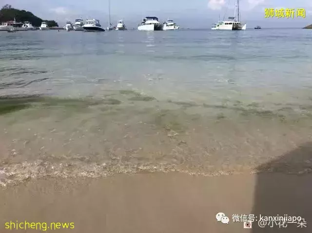 除了乌敏岛,新加坡还有这两个岛超适合出游