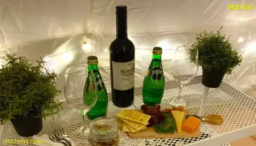 小朋友超爱！裕廊飞禽公园露营！和火烈鸟一起度过美好夜晚