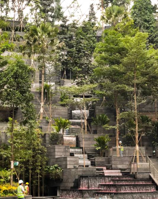 新加坡樟宜機場全方位解讀