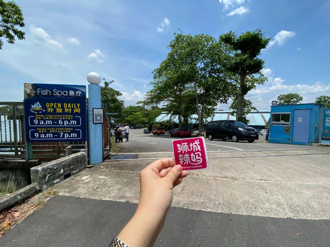 餵羊、擠奶、了解青蛙生長過程,新加坡的農場這麽牛