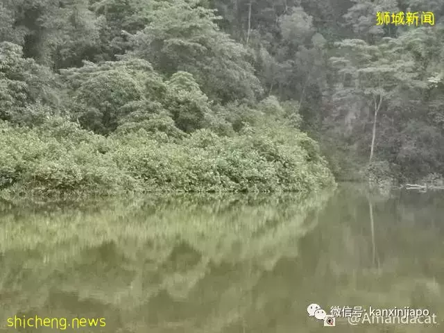 桂林山水甲天下，在新加坡也有