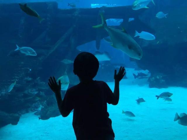 出境自由行第一站去哪儿比较好?—八大理由让你爱上新加坡