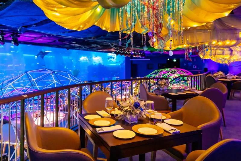 SEA海洋館聖誕主題“深藍夜宴”,夢幻圓頂冰屋下體驗浪漫限定晚餐