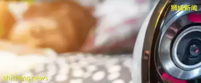 新加坡科技設計大學舉辦編程馬拉松比賽，超19所院校學生參賽​