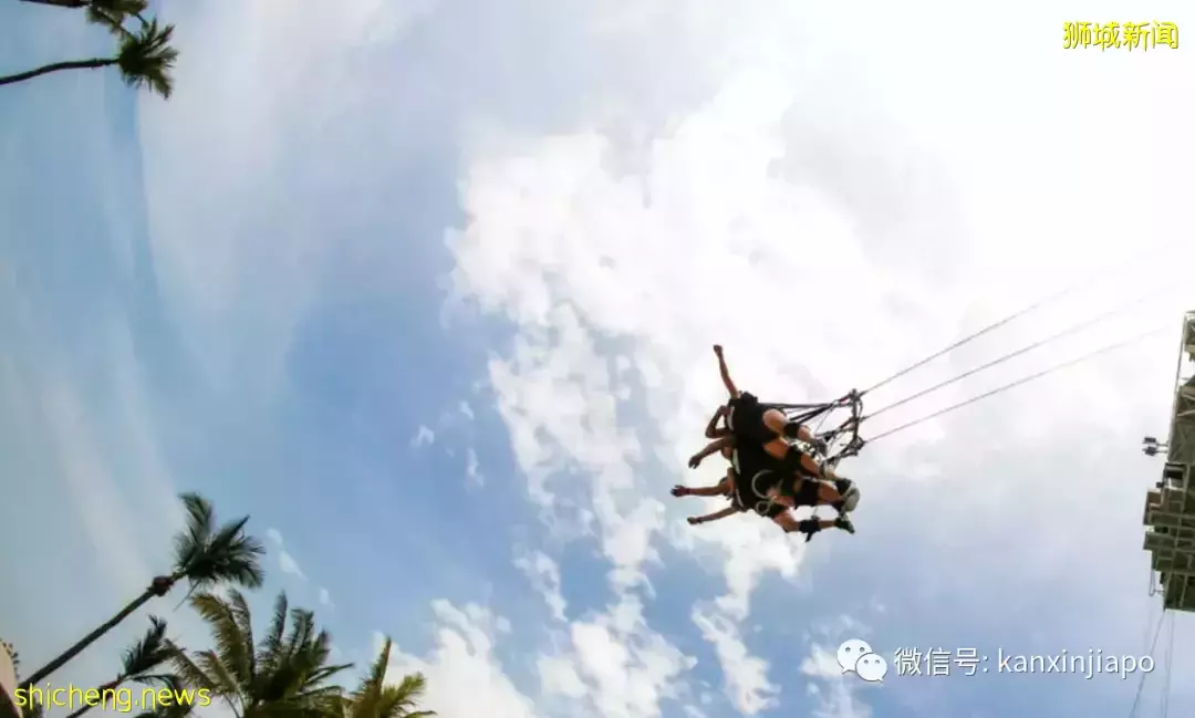 【下周活动】在新加坡竟然有冰雕!还有$9.6VANS夏季经典款