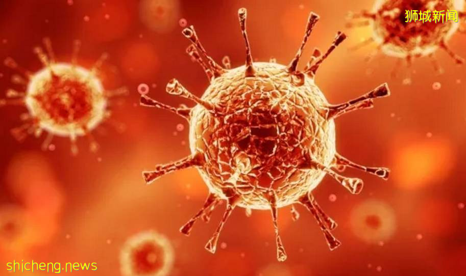 新加坡變異疫情分析