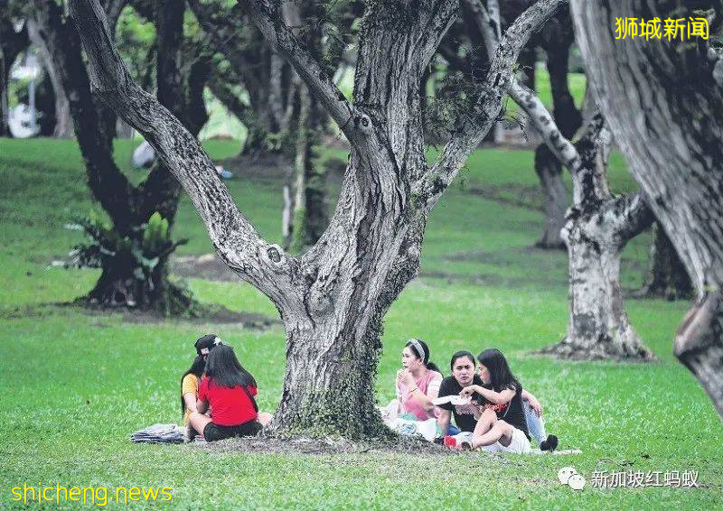 新加坡反對黨在國會使出一招“政治正確” 行動黨以“正確政治”還擊