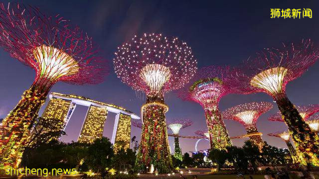 新加坡芽籠,男人的“合法天堂”