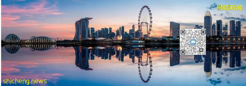 “展望新加坡2021”“新加坡+1”战略：新廖内商业桥梁助力启航东南亚