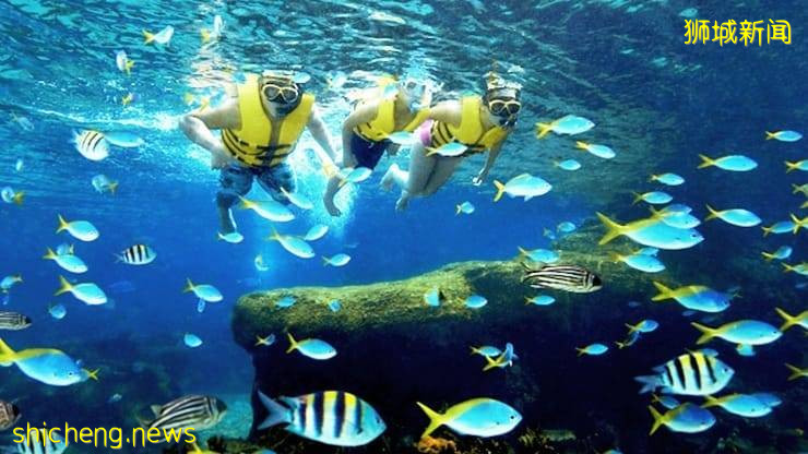 清凉一夏💦 圣淘沙水上探险乐园重开!入场门票推出优惠价格🔝 最低价票只要S$20