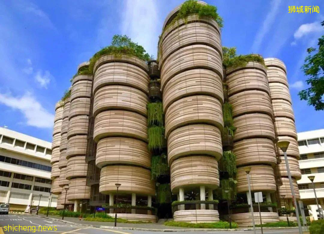 留学选择多多！新加坡国大、南大、管大等公立大学2022年硕士申请已陆续开放