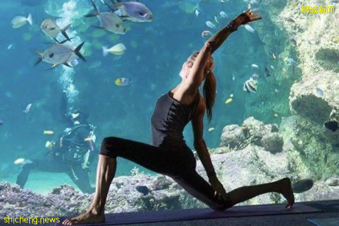 新加坡10個新活動！打卡冰淇淋博物館、總統府、到海底練瑜伽