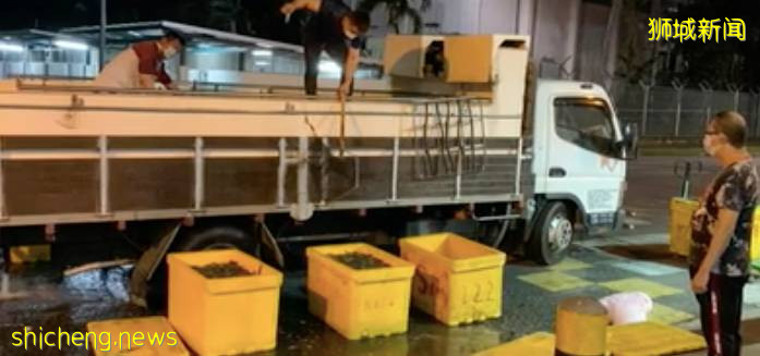 裕廊渔港重开!进出管制,2次消杀,太严了