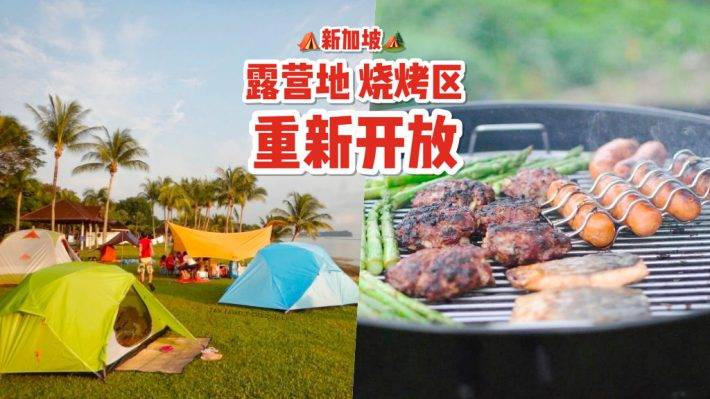 户外活动新选项✨ 新加坡公园烧烤炉&露营区重新开放！内附申请步骤+扎营地推荐