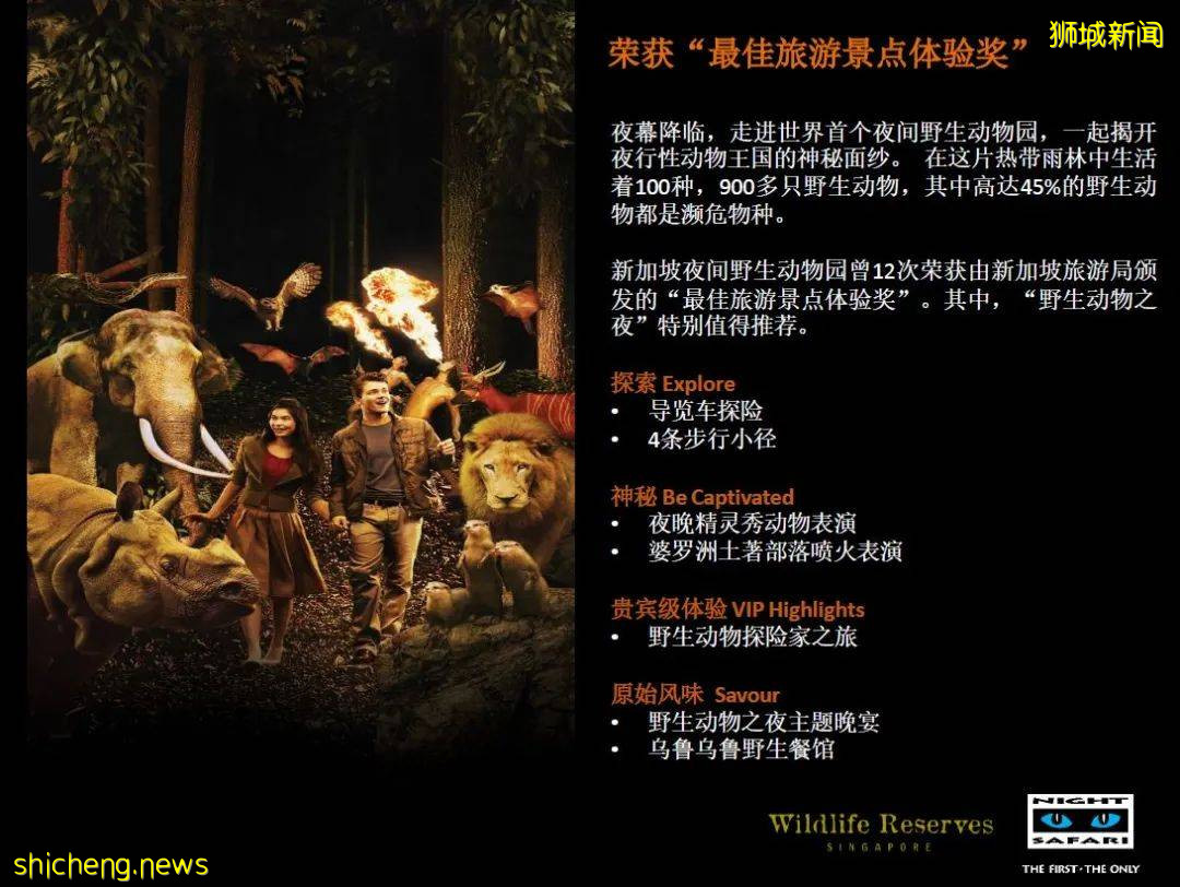 新加坡 中秋節野生動物之夜!酷炫探險~帳篷晚餐~賞月之旅