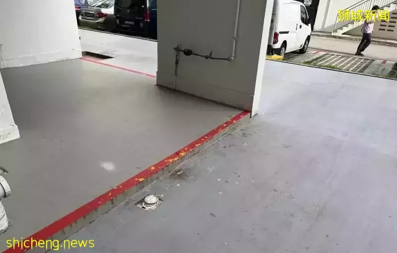 鸟粪处处邻居不满  阿嫂：喂鸟是人权