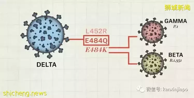 反反複複，新冠病毒生命力爲什麽如此“頑強”