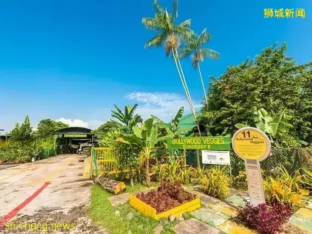 《即刻隨心所想，心想獅城》新加坡生態遊系列2