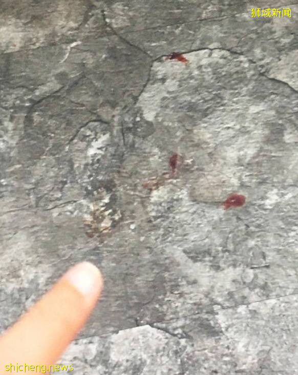 涉嫌殺害8歲親生女兒,35歲中國籍女子在新加坡被控