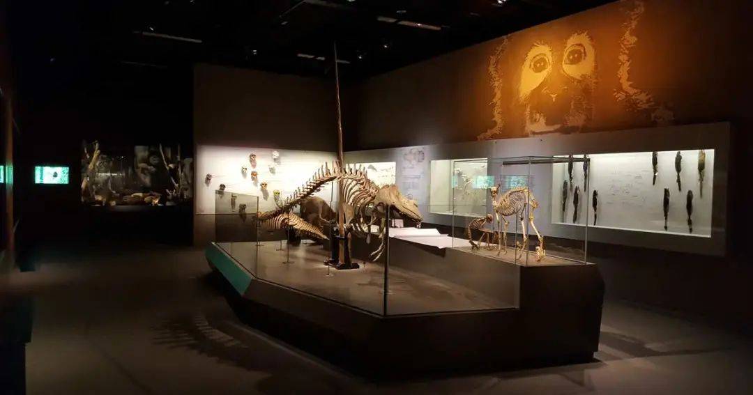 盘点国大那些被“冠名”的大楼们,你去过几个