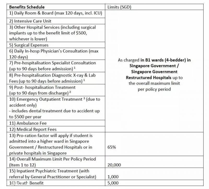 小投入，大保障！新加坡私立学校医疗保险了解一下
