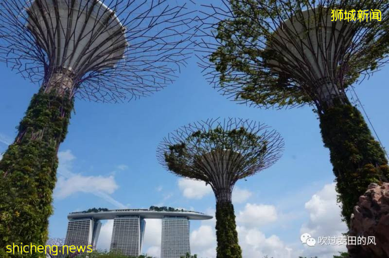 新加坡:遇见多元文化