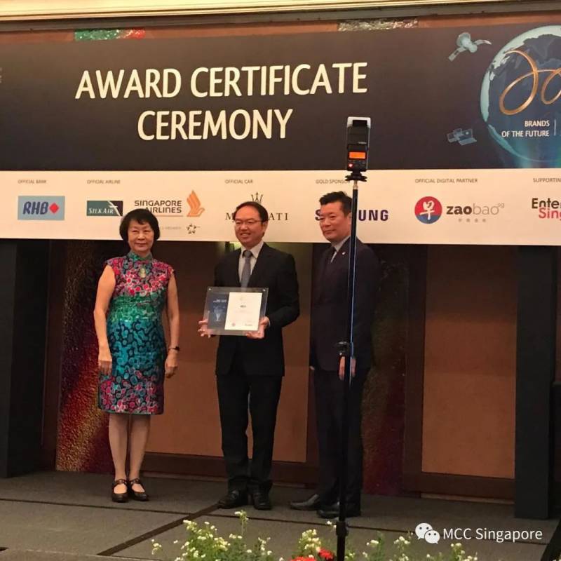 谁是中冶新加坡?(一)