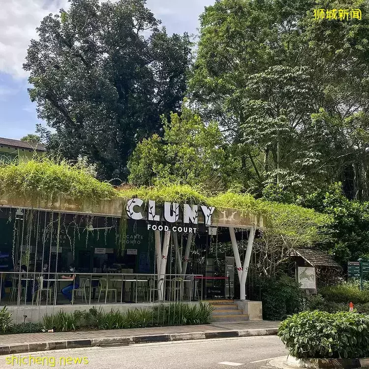 全新花园食阁Cluny Food Court🌳坐落在新加坡植物园!环境明亮通风、品尝道地美食🤩