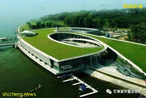 新加坡成立有限公司后续维护至关重要