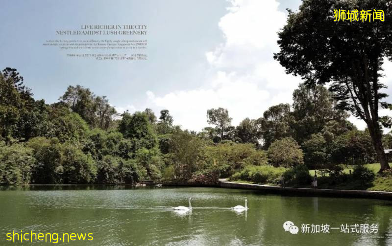 最美麗的自然風光: 新加坡植物園