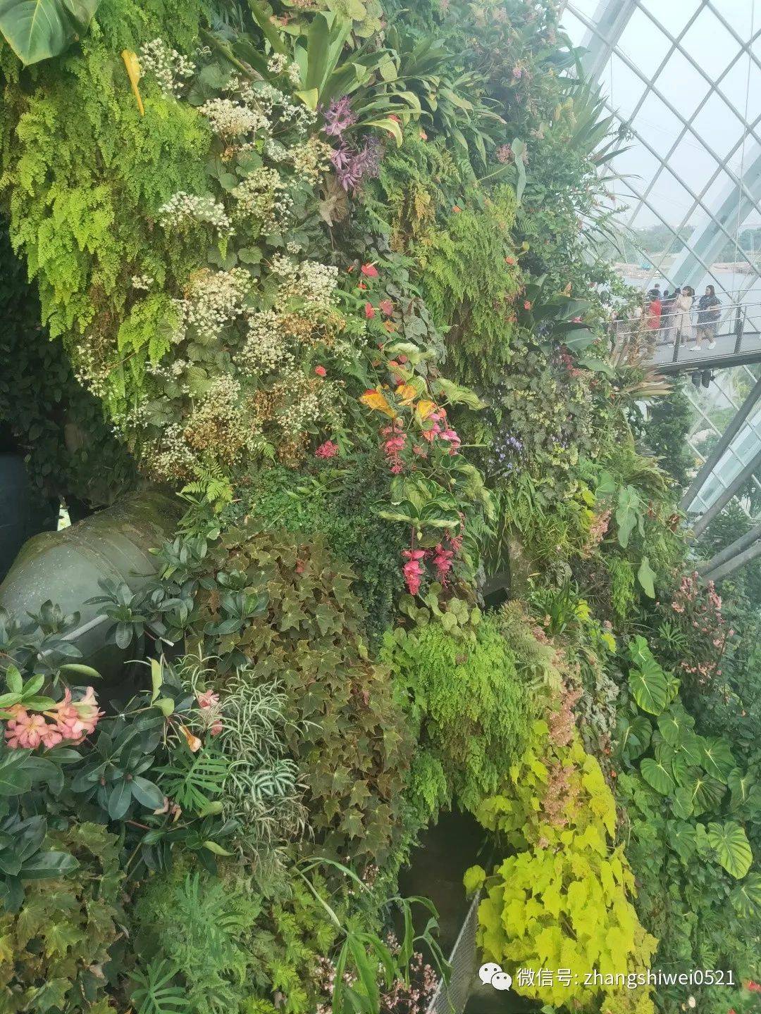 新加坡遊記系列 常規又不常規的獅城遊覽