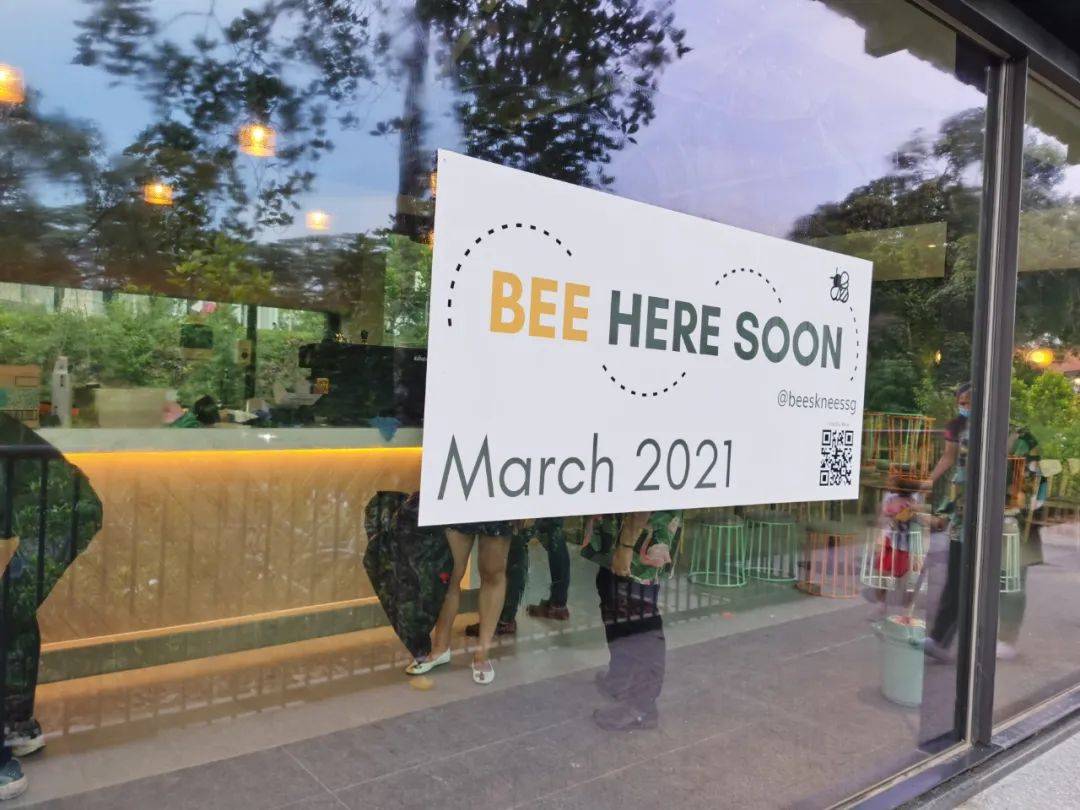 新加坡植物園爆火新景點,不知道怎麽去?手把手教你遊玩攻略