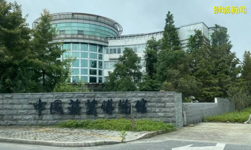 新加坡大雨一直下,媽媽這個是啥蘑菇?能吃嗎?額