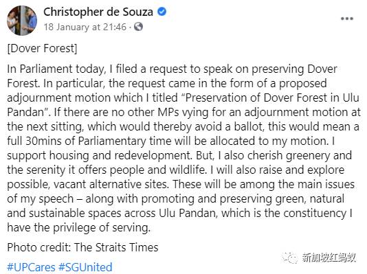 新加坡这片森林被标记为住宅用地　四天内超过3万人签名请愿留住森林
