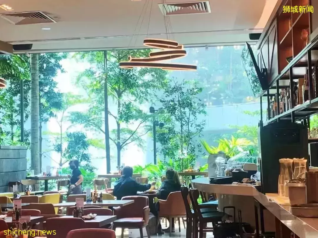 初到新加坡，怎樣快速融入本地，交到一起遛娃的朋友