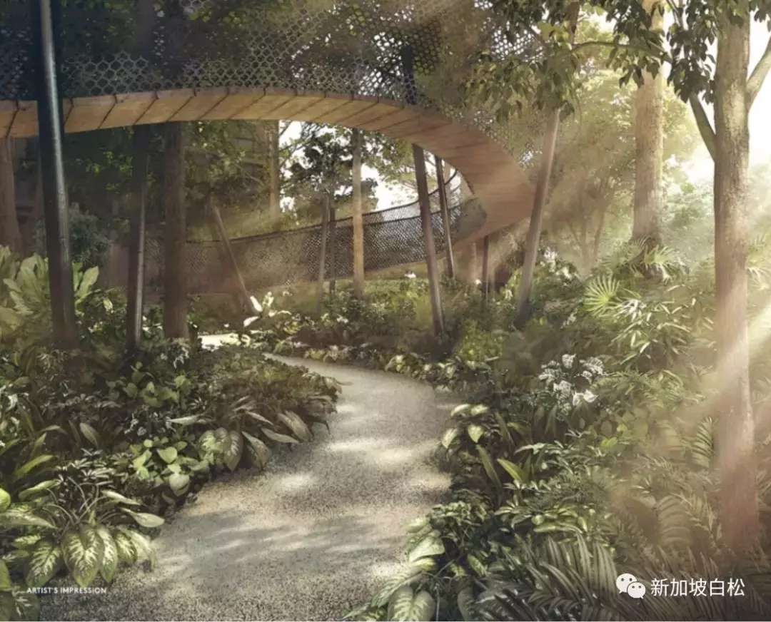 新加坡烏節設計師公寓Martin Modern