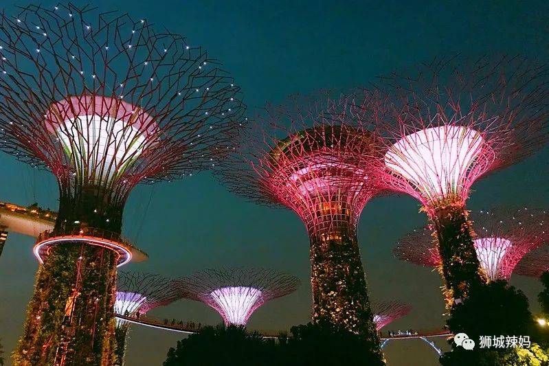 我離婚了，我破産了，我拿到PR...2020，我們的無奈與勇敢