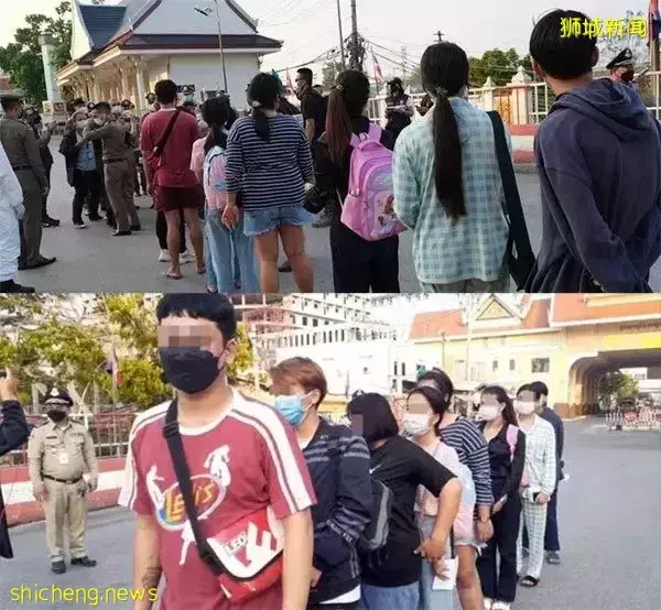 杀猪盘又有新套路！聊天记录曝光，在新加坡的中国人成为目标！他们在线求助