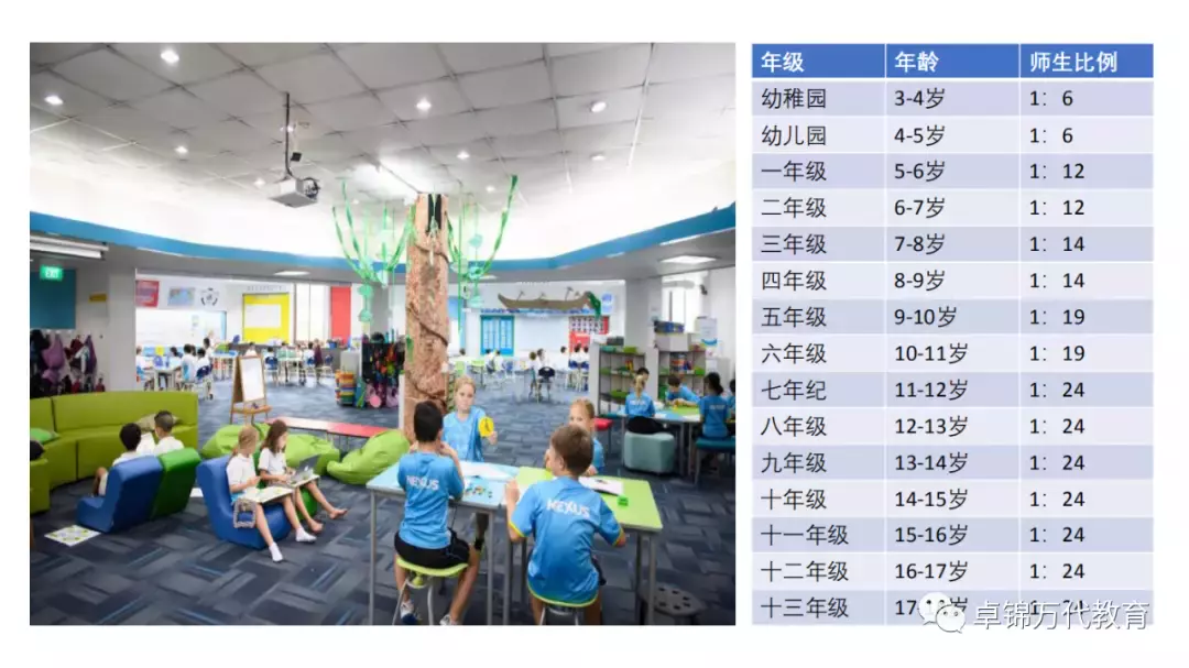 新加坡國際學校 【3】萊仕國際學校Nexus