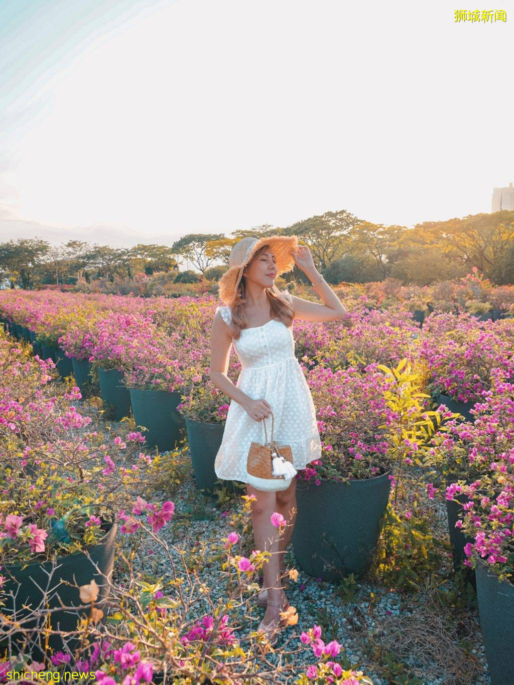 小众花海秘境Marina Mall Road📍鲜花朵朵盛放、自带美颜效果,拎上相机打卡去📷