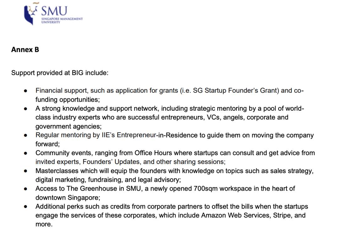 小坡岛情报 BIG孵化计划公布首批新创公司，快来看看申请的办法