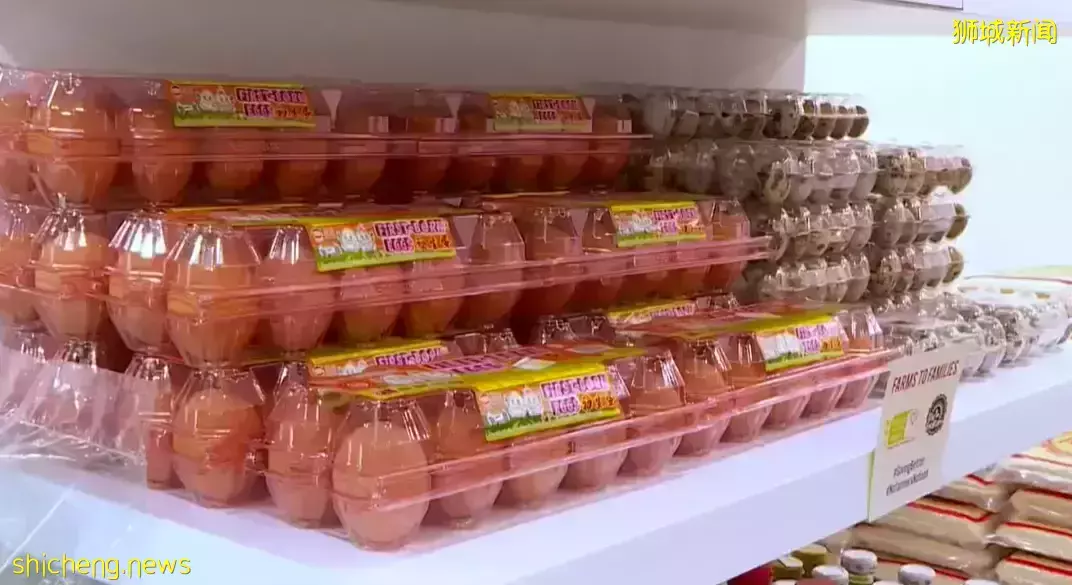 善粮小铺”来啦!受益家庭每月可领取七样优质新鲜食材