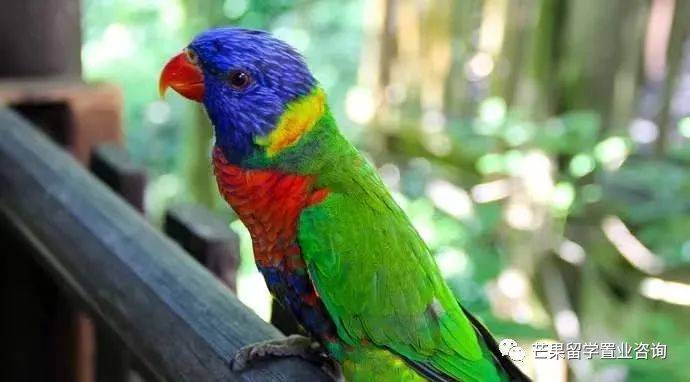 新加坡“親子娛樂”好去處盤點(1)