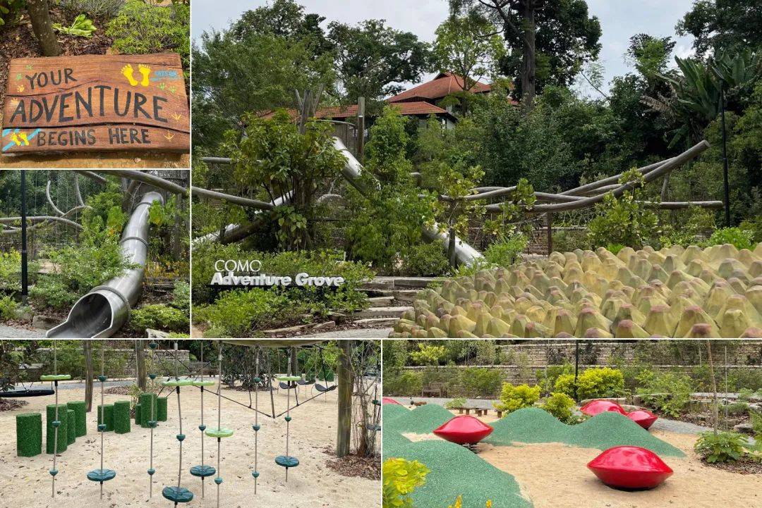溜娃新去處!新加坡植物園推出新景點!COMO小樹林、巨型波羅蜜、探秘館、藝廊開放啦